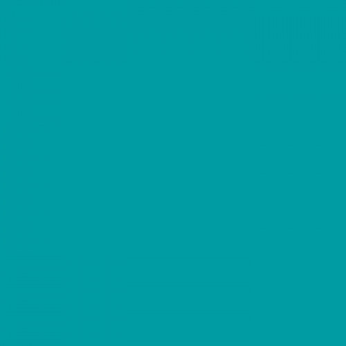 Спортивный линолеум Tarkett Omnisports Reference (R 65) Teal